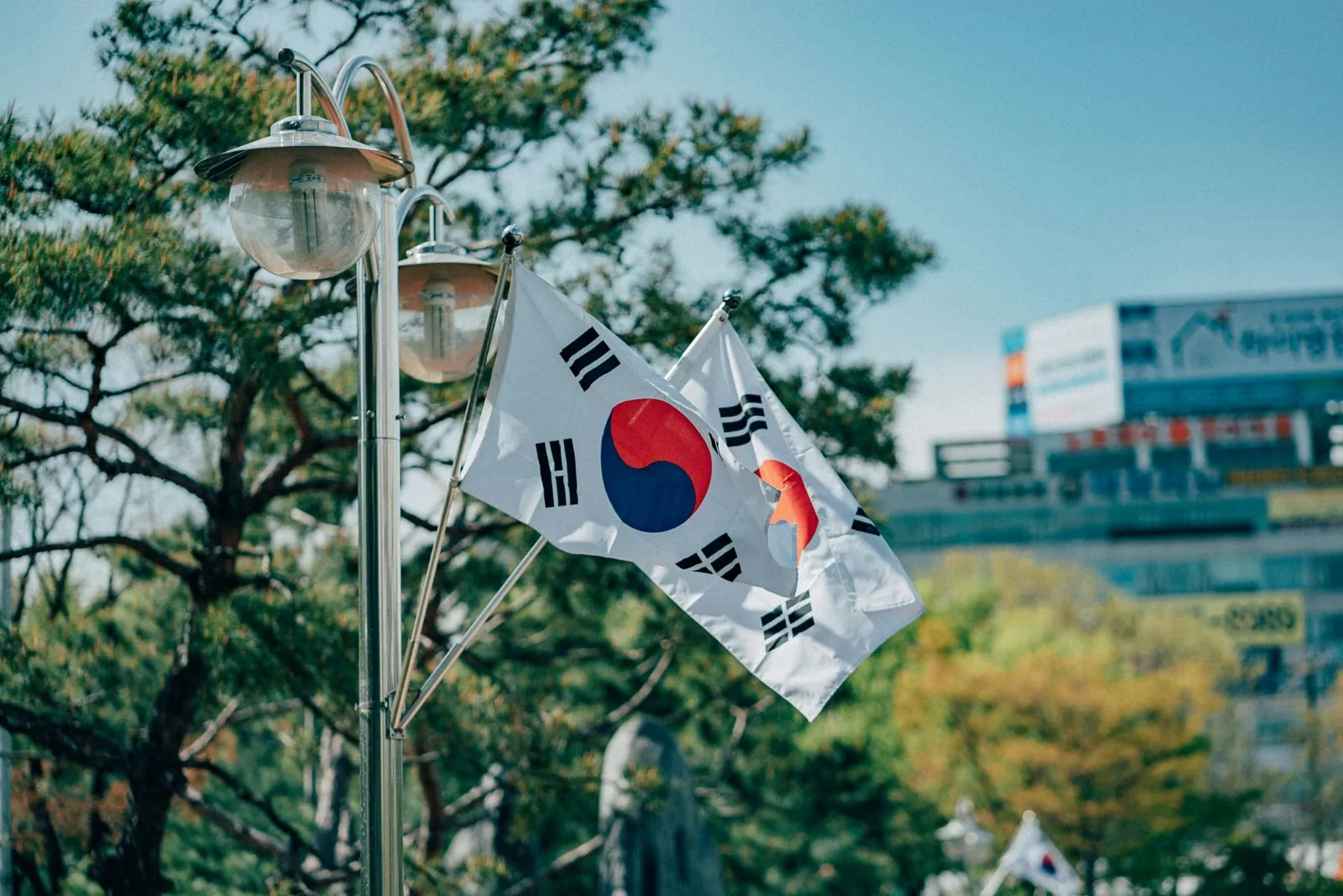 Students exploring study opportunities in South Korea